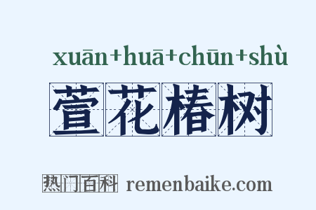 萱花椿树是什么意思的图片